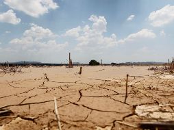 La temporada de lluvias ayudó a mejorar las condiciones en Chiapas, Nayarit, Jalisco y Michoacán. EL INFORMADOR/ Archivo