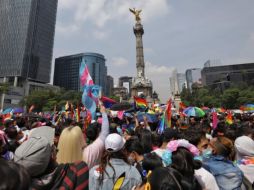 El 63% de la población LGBTI+ declaró ser soltera, 13.9% es casada, y 16.7 % declaró vivir en unión libre. SUN / ARCHIVO