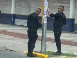 Bosco Pacheco aseguró que las fichas de búsqueda 