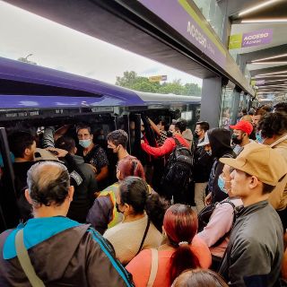 El Peribús es el transporte que más pasajeros mueve; piden más camiones