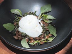 Huevos pochados con ensalada tibia de hierva de conejo y quintonil, frijoles bayos y queso de oveja. ESPECIAL