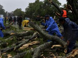 Las autoridades nicaragüenses, que realizaron evacuaciones y suspendieron los zarpes, reportaron la caída de árboles a causa de los vientos de 65 kilómetros por hora de Bonnie. EFE / J. Torres