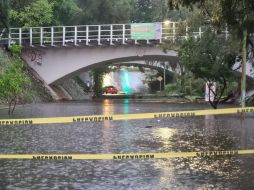 Distintos puntos de la ciudad reportan inundaciones e incluso árboles caídos. EL INFORMADOR/G. GALLO