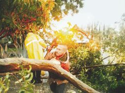 Autoridades acuden a levantar un árbol caído por la lluvia de ayer, en Avenida Federalismo casi esquina con Patria. EL INFORMADOR/ G. Gallo