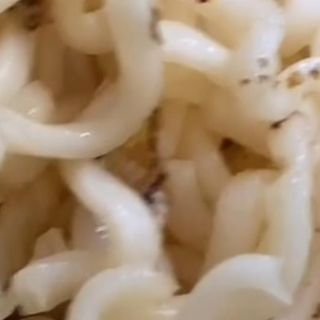 Viral: Jóvenes encuentran gusanos en sopa instantánea y lo comparten por TikTok (VIDEO)