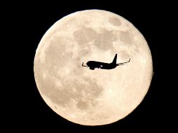 La Luna de Ciervo lleva este nombre debido a que durante esta temporada a los ciervos machos les crecen nuevas astas o cuernos. EFE / ARCHIVO