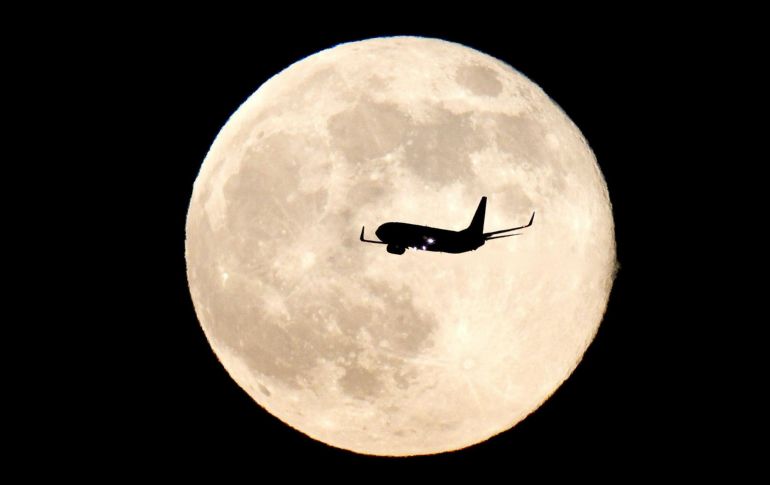 La Luna de Ciervo lleva este nombre debido a que durante esta temporada a los ciervos machos les crecen nuevas astas o cuernos. EFE / ARCHIVO