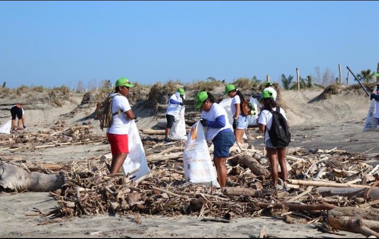 Los trabajos de recolección y limpieza incluyeron la separación de los residuos, fundamentalmente aquellos a los que se busca lograr crear una cadena de reciclaje. ESPECIAL /