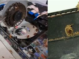 El video se volvió rápidamente viral, y hasta el momento cuenta con más de y 5.4 millones de reproducciones. ESPECIAL/TIKTOK