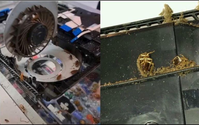 El video se volvió rápidamente viral, y hasta el momento cuenta con más de y 5.4 millones de reproducciones. ESPECIAL/TIKTOK