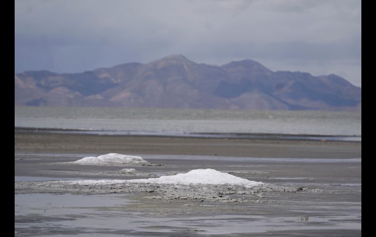 La reducción del lago amenaza a varias especies de aves migratorias que hacen escala en él, y no se descartan repercusiones sanitarias para los pobladores. AP/R. Bowmer