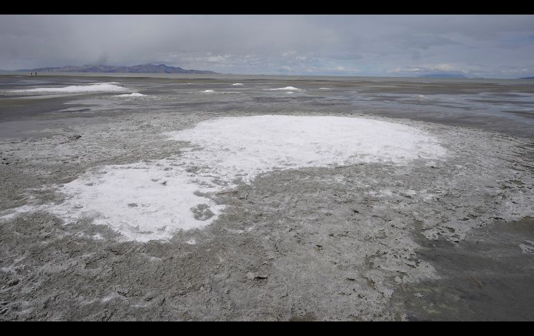 La reducción del lago amenaza a varias especies de aves migratorias que hacen escala en él, y no se descartan repercusiones sanitarias para los pobladores. AP/R. Bowmer