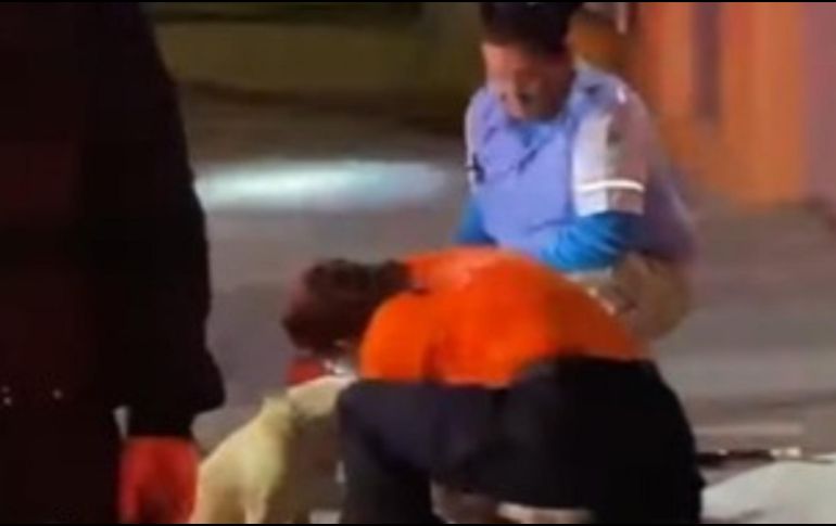 La perrita se quedó en el sitio resguardando el carrito con cartón y plástico, e impedía que se acercaran al material recolectado por su amo. ESPECIAL