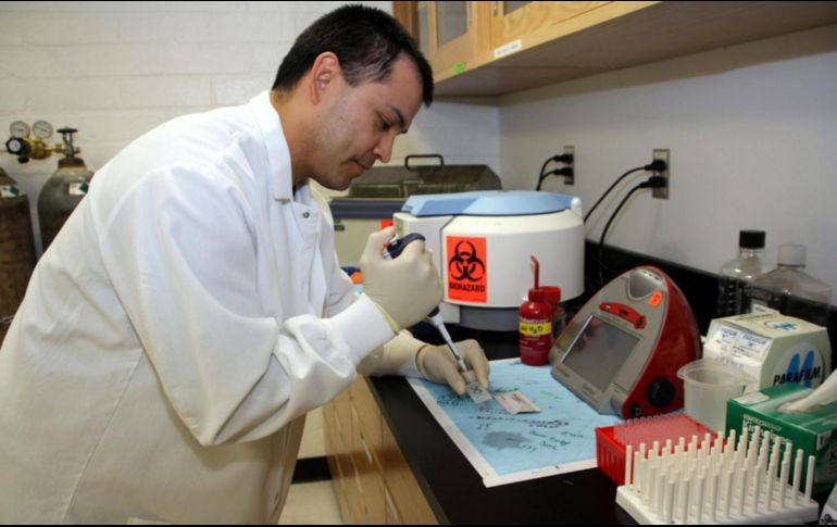 Existe a nivel internacional un aumento de casos considerable. EL INFORMADOR/ Archivo