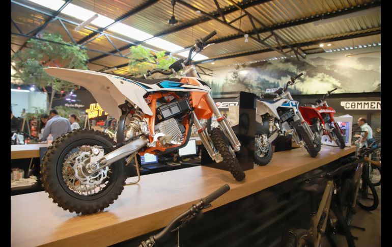 Aspecto. GENTE BIEN JALISCO/Antonio Martínez