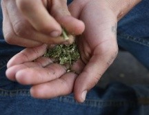 Subrayaron que 38% de los estudiantes dijeron tener un conocimiento escaso del tema de las drogas y sus efectos a largo plazo. EL INFORMADOR / ARCHIVO