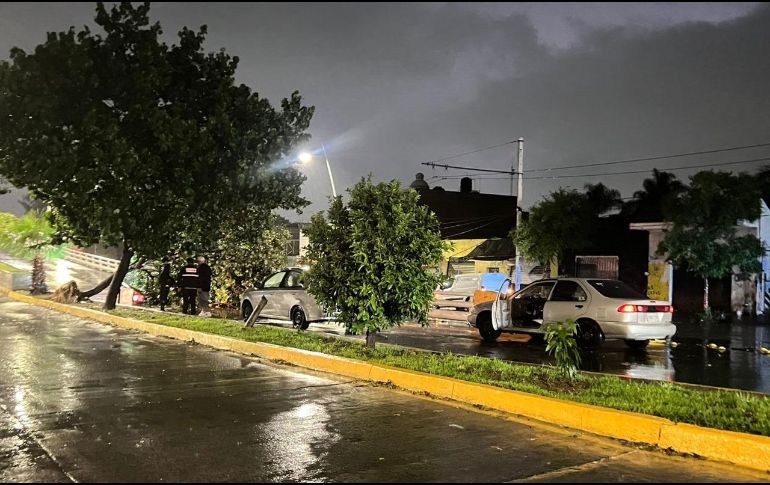 ESPECIAL / P. NÚÑEZ