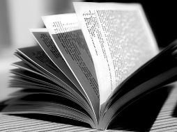 Este año, el jurado del Premio Nacional de Poesía estuvo integrado por Xitlálitl Rodríguez, Carmen Villoro y Luis Felipe Fabre, quienes revisaron 221 propuestas de entre las que resultó ganador Juan Antonio Alfaro. Pixabay