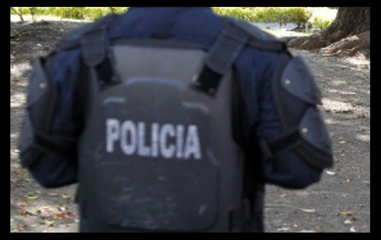 Hasta el momento, no se informa de ningún elemento reprobado por el organismo. SUN/ ARCHIVO.