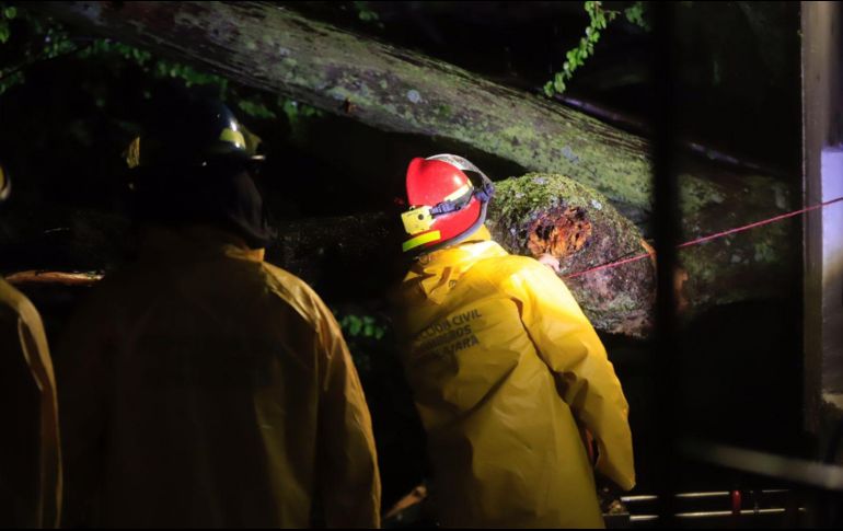 ESPECIAL / Protección Civil Guadalajara