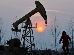 Los operadores ignoraron el reporte semanal de las existencias de crudo en Estados Unidos. EFE/ARCHIVO