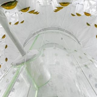 Así es "el lugar más puro del planeta" en el que los científicos buscan la misteriosa materia oscura