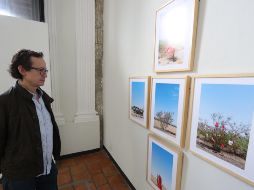 De acuerdo con el director del MUPAG, el tema en esta selección de imágenes “es nuestra huella devastadora en el planeta, y en particular en nuestros países latinoamericanos