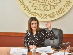 Priscila Franco Barba dijo que los obstáculos para la reforma son no interferir con funciones federales y que sólo involucre a las autoridades estatales y municipales.