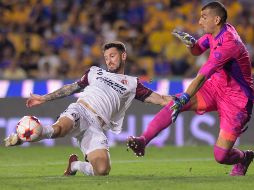 El partido Tigres vs Xolos podrá ser visto en televisión restringida. IMAGO7