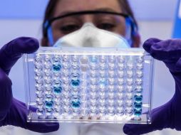 El paciente infectado se mantiene estable de salud. ESPECIAL/Foto de CDC en Unsplash