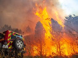 Dos incendios han destruido al menos nueve mil 650 hectáreas de bosques en los últimos días. EFE