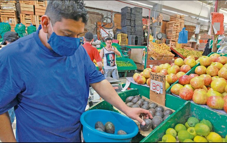 El aguacate es uno de los productos que más ha resentido el alza de precios en el país. EL INFORMADOR/Archivo