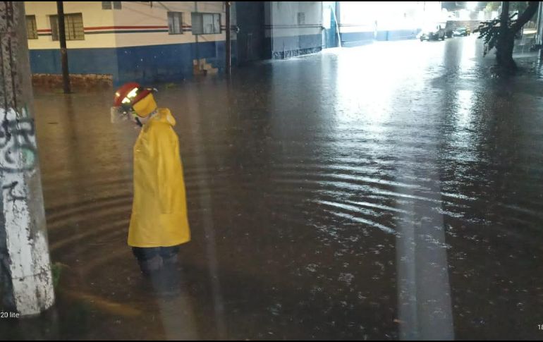 Hubo al menos cuatro árboles caídos en la metrópoli sin causar daños de consideración. ESPECIAL /