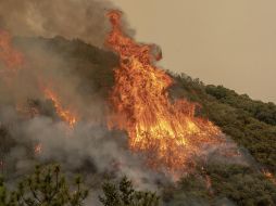 Europa está atravesando una ola de calor histórica. EFE/ARCHIVO