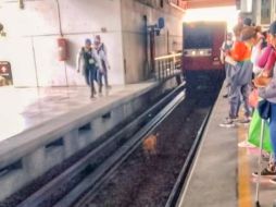 Arturo Hernández relató que su labor produjo un retraso de 40 minutos y la molestia de muchos pasajeros. ESPECIAL