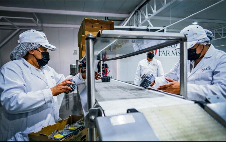 Las diversas actividades industriales sufrieron bajaron su nivel de productividad  en todo el país. ESPECIAL