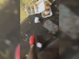 El extraño video de Six Flags México se publicó la noche de este martes. INSTAGRAM / @sixfkagsmexico