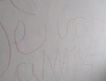 Luz Raquel Padilla murió tras ser rociada con alcohol y quemada en Zapopan. TWITTER / @GutirrezPadilla