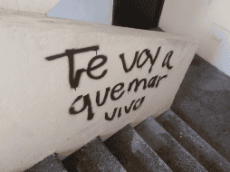 Luz Raquel Padilla ya había denunciado en sus redes sociales que recibía amenazas en su contra pintadas en las paredes del lugar en el que vivía. TWITTER / @GutirrezPadilla