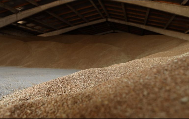 Kiev y Moscú firmaron dos textos idénticos, pero separados, a petición de Ucrania, que se negó a rubricar ningún documento con Rusia. AFP / ARCHIVO