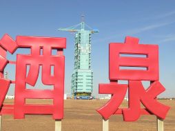 China intenta manejar un evento de extinción como el que acabó con los dinosaurios hace unos 65 millones de años. EFE / A. Alfaro