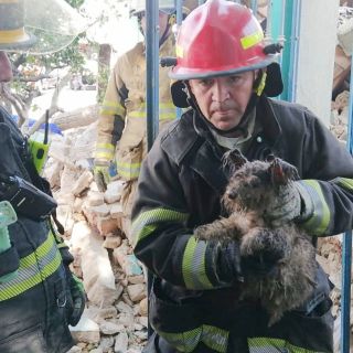 Conmueve rescate de perrita en casa colapsada tras explosión en Guadalajara (VIDEO)
