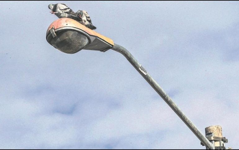 La intervención incluirá la ampliación de banquetas, colocación de arbolado, introducción del cableado subterráneo y cruceros seguros. EL INFORMADOR/ARCHIVO