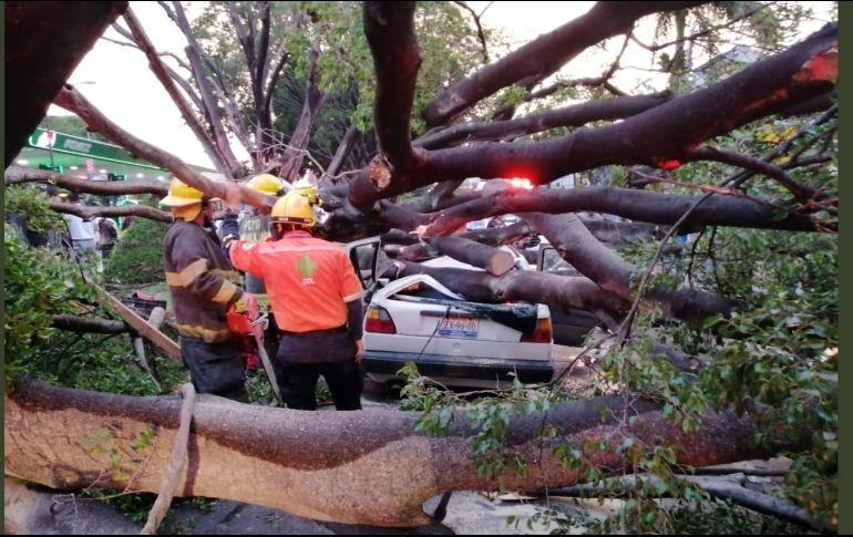 La tormenta estuvo acompañada por vientos fuertes y caída de granizo. ESPECIAL