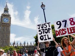 Manifestantes llaman al Gobierno a tomar medidas ambientales urgentes. AFP/N. Hallen