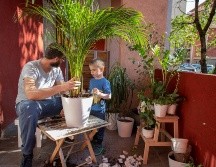 ISTOCK GETTY IMAGES/ Mmpile