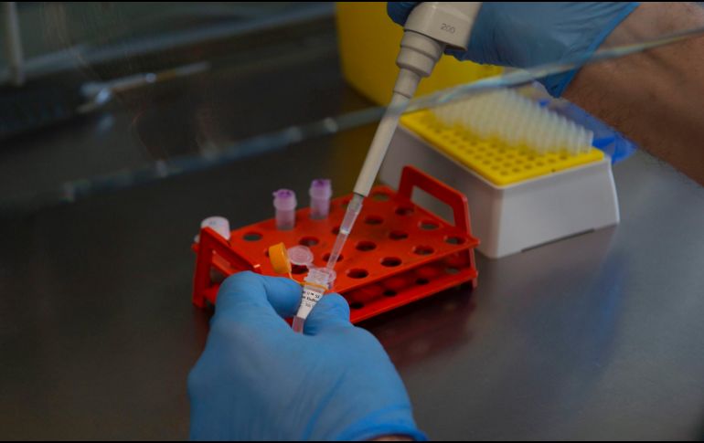 Los principales síntomas son fiebre, dolor de cabeza, fatiga y debilidad, dolores musculares, inflamación de los ganglios linfáticos, y erupciones cutáneas. EFE / ARCHIVO