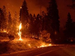 Los bomberos reportaron que apenas pudieron contener 10% del incendio hasta este lunes. AFP/D. McNew