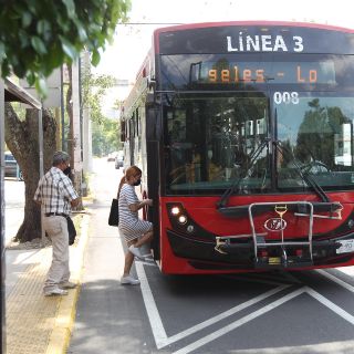Esto costarán las multas por invadir el carril de BusBici en Avenida Hidalgo