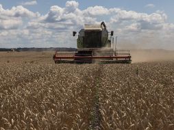 Ucrania declaró el pasado lunes que esperaba se retomaran esta semana las exportaciones de granos, cruciales para la seguridad alimentaria mundial. EFE / R. Pilipey